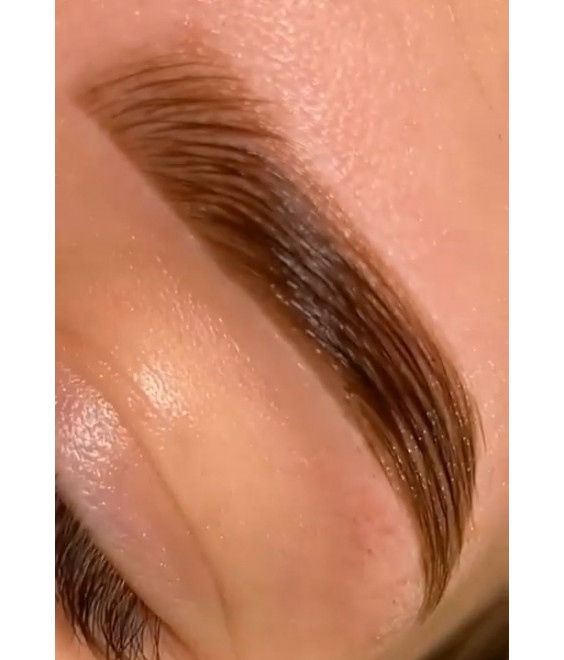 Hybrid Brows tečaj